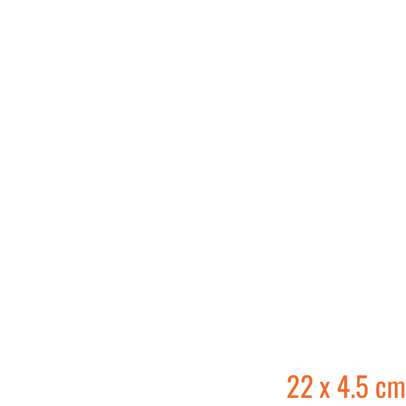 500 Fans Clubsticker (Ruitenwisser)